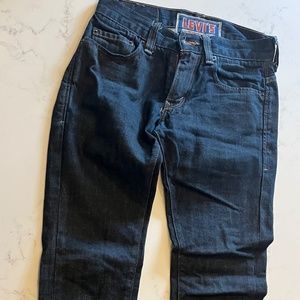 Levi's 511 Jeans, Size 29 x 30